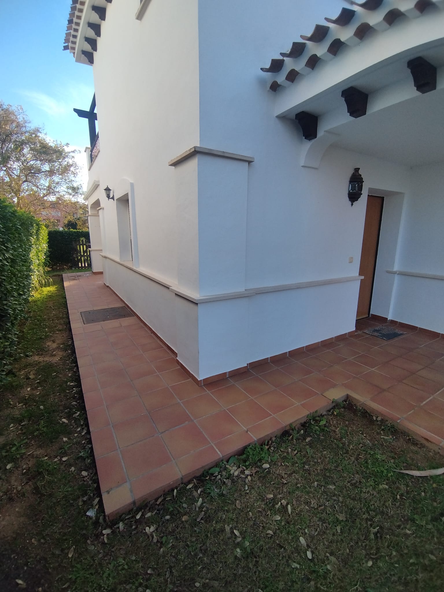 50059_WhatsApp Image 2026-02-09 at 19.10.34 (1).jpeg